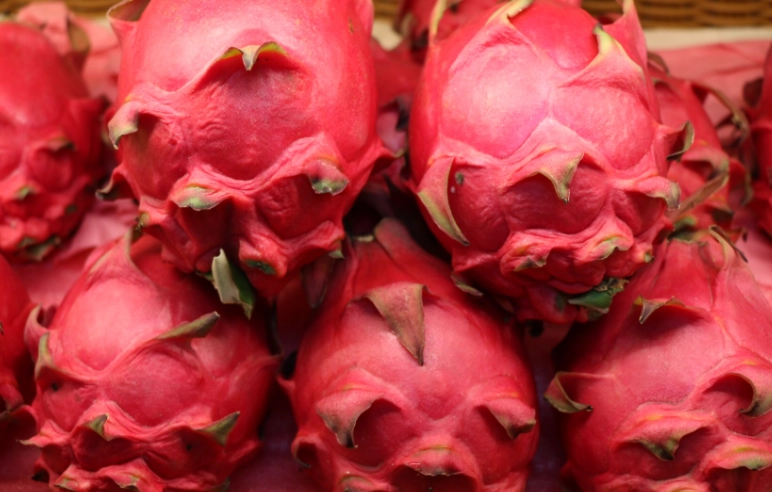 火龍果一顆多重 火龍果一顆多重