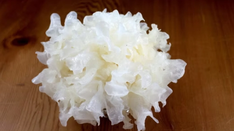 銀耳熱量計算 銀耳熱量計算