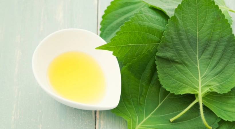 紫蘇籽油使用方法