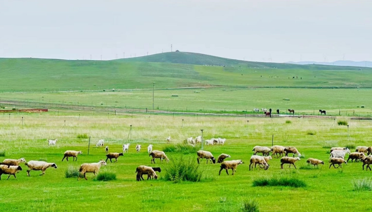 內蒙古旅遊攻略 內蒙古旅遊攻略