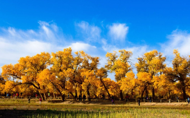 內蒙古旅遊季節 內蒙古旅遊季節