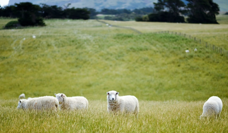 內蒙古旅遊安全 內蒙古旅遊安全