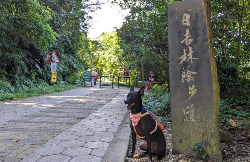 桃園寵物旅遊兩天一夜完整攻略：毛小孩專屬行程與景點推薦