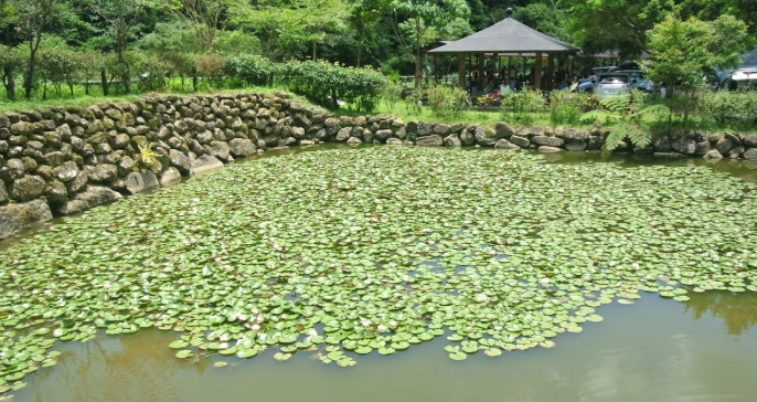 農莊體驗活動 農莊體驗活動