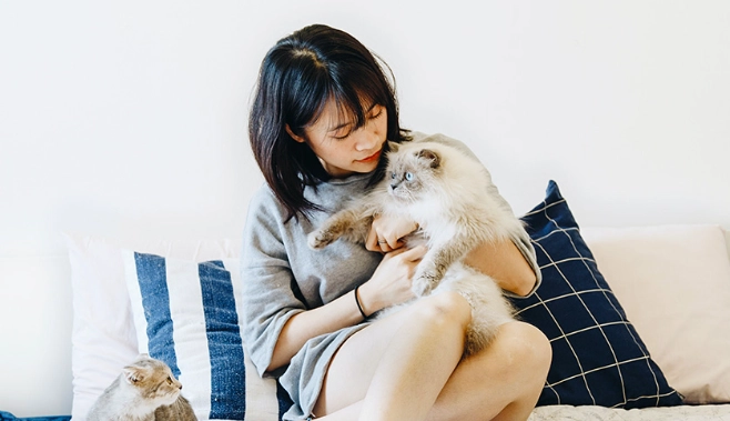 貓咪領養注意事項