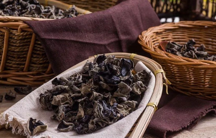 黑木耳功能 黑木耳功能