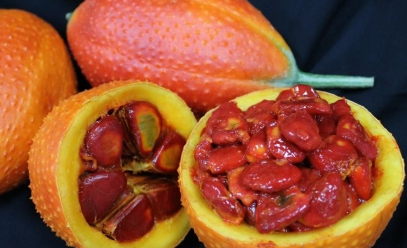 木鱉果吃太多風險