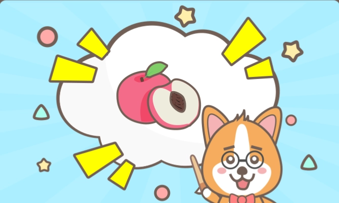 寵物飲食注意事項