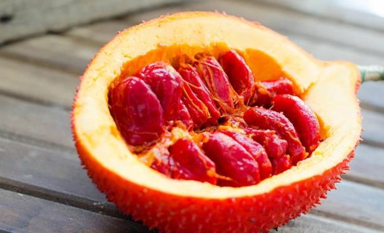 木鱉果過量食用