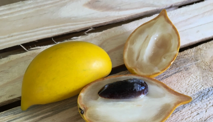 黃金果怎麼吃 黃金果怎麼吃