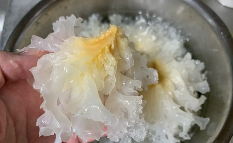 白木耳食譜 白木耳食譜