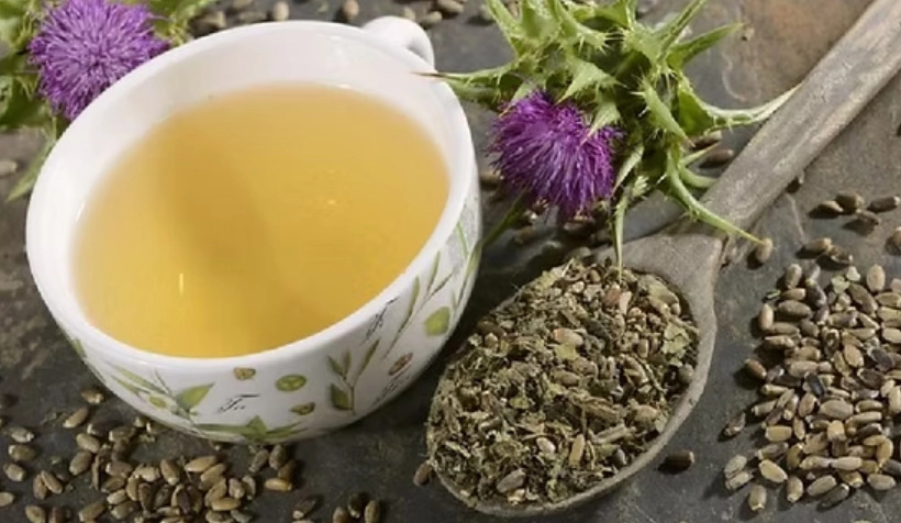 水飛薊功效 水飛薊功效