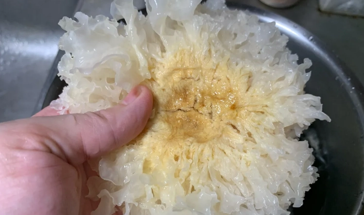 白木耳如何煮 白木耳如何煮