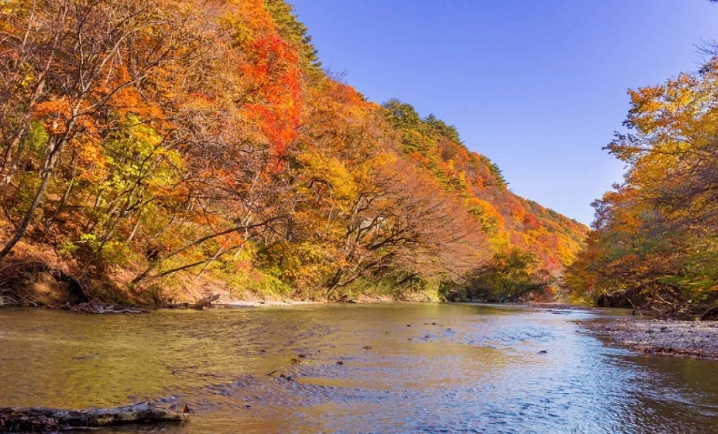 福島駅周邊觀光