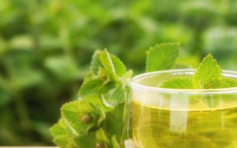 薄荷茶健康益處 薄荷茶健康益處