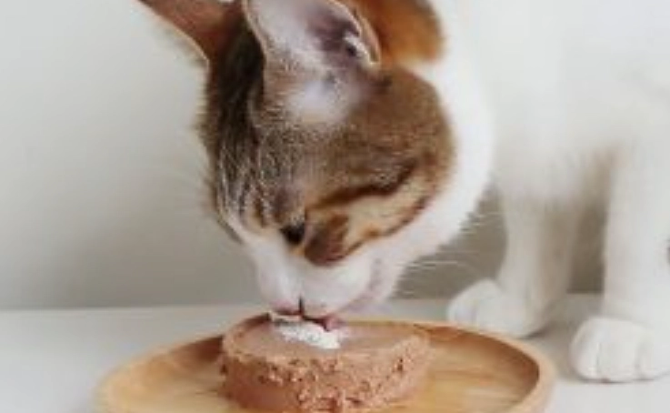 排毛粉服用頻率