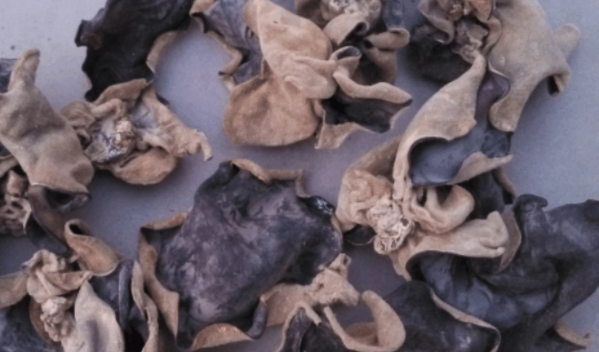 黑木耳功效 黑木耳功效