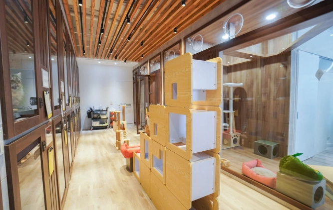 新竹寵物旅館推薦