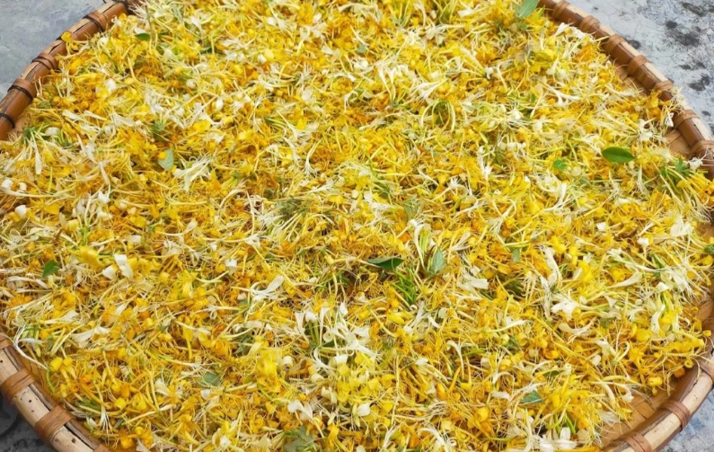 金銀花使用方法 金銀花使用方法