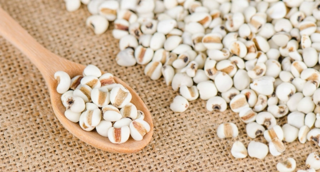 天然養生食材 天然養生食材