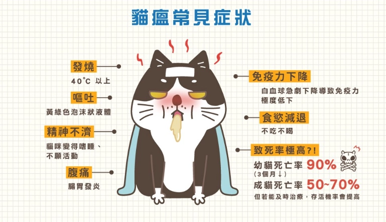 貓瘟治療