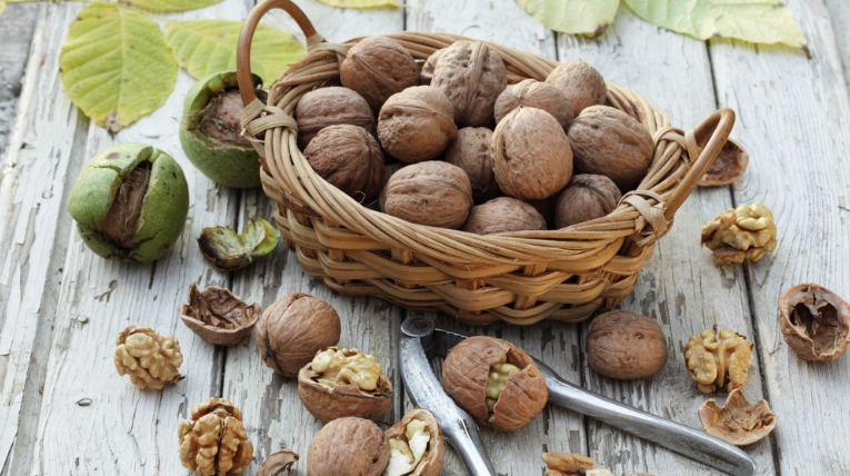 核桃營養價值 核桃營養價值