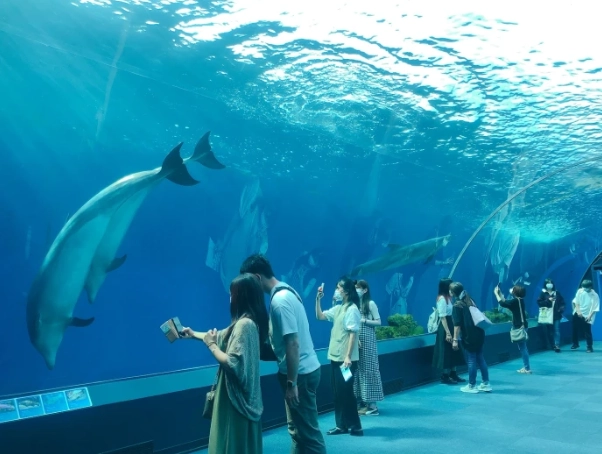 橫濱水族館交通