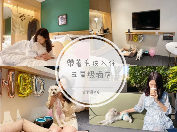 台灣寵物酒店