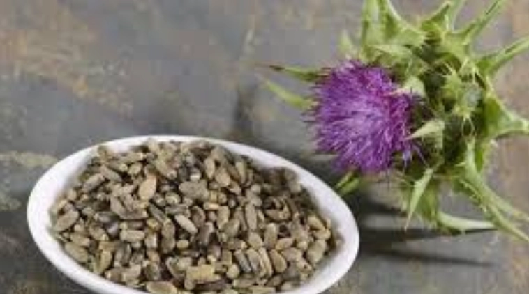 脂肪肝自然療法 脂肪肝自然療法