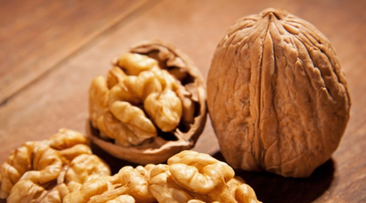 核桃中醫補腎 核桃中醫補腎