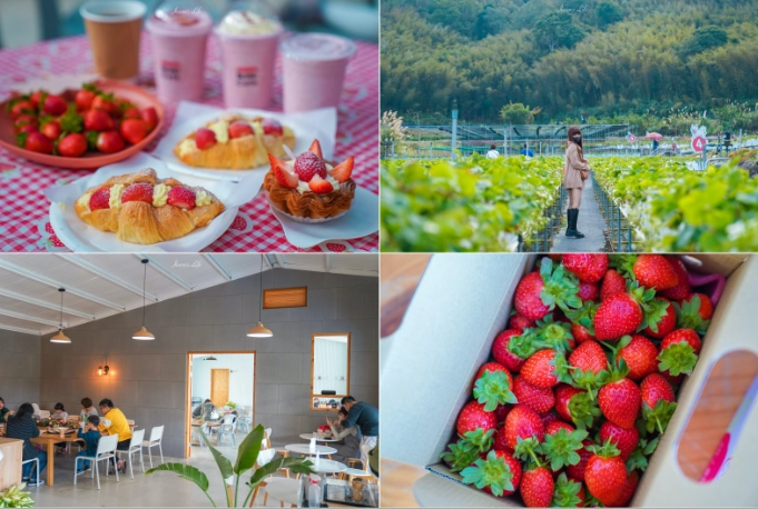 大湖草莓料理 大湖草莓料理