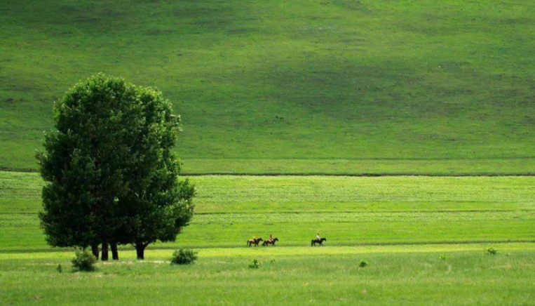 內蒙古氣候旅遊指南