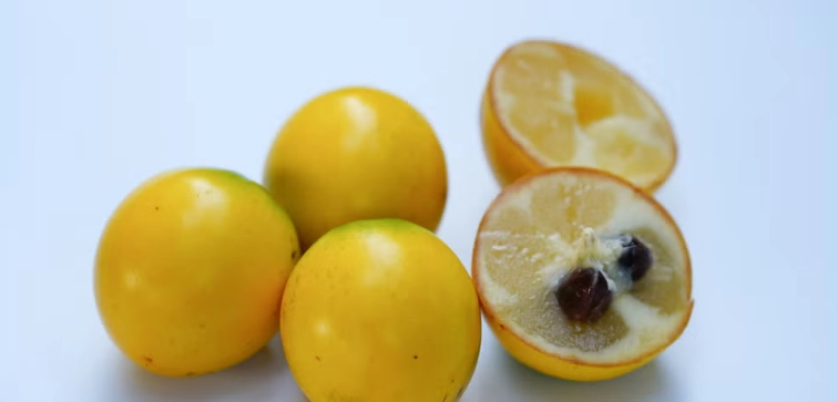 黃金果怎麼吃 黃金果怎麼吃