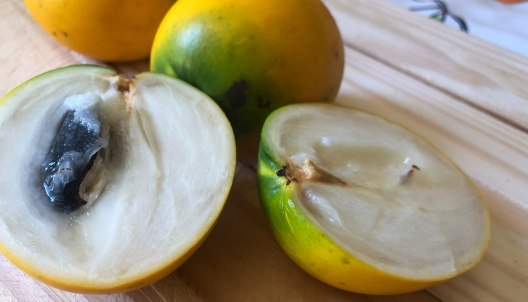 黃金果營養價值 黃金果營養價值