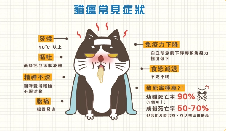貓瘟症狀