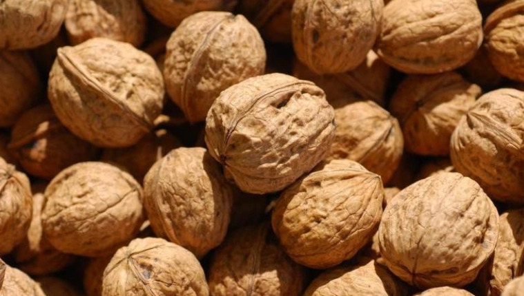 核桃健康益處 核桃健康益處