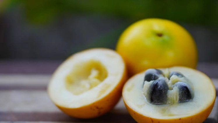 黃金果健康益處 黃金果健康益處