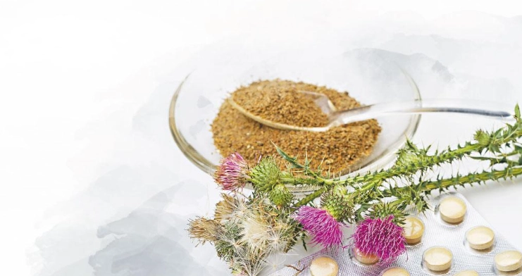 奶薊草護肝 奶薊草護肝