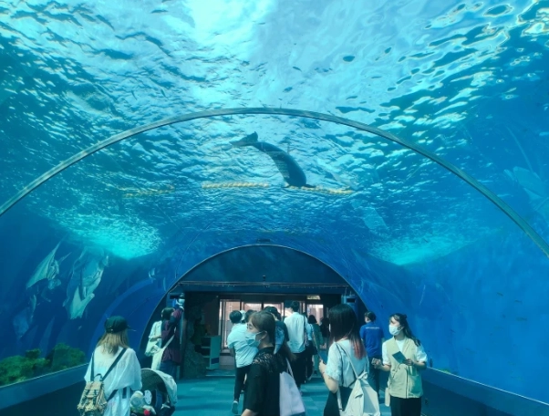 橫濱水族館門票