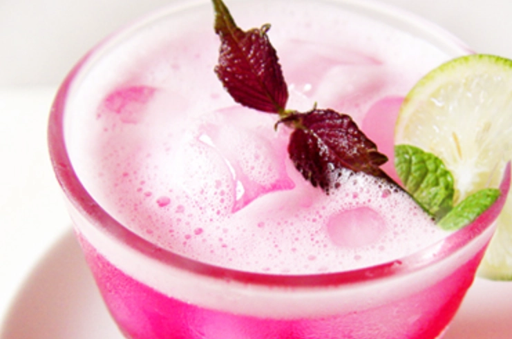 紫蘇葉檸檬水做法 紫蘇葉檸檬水做法