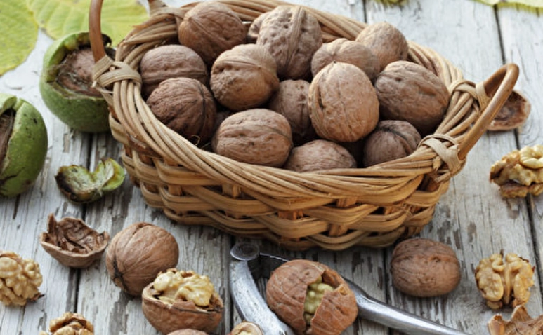 核桃中醫補腎 核桃中醫補腎