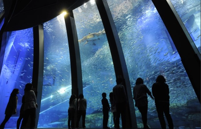 橫濱水族館門票