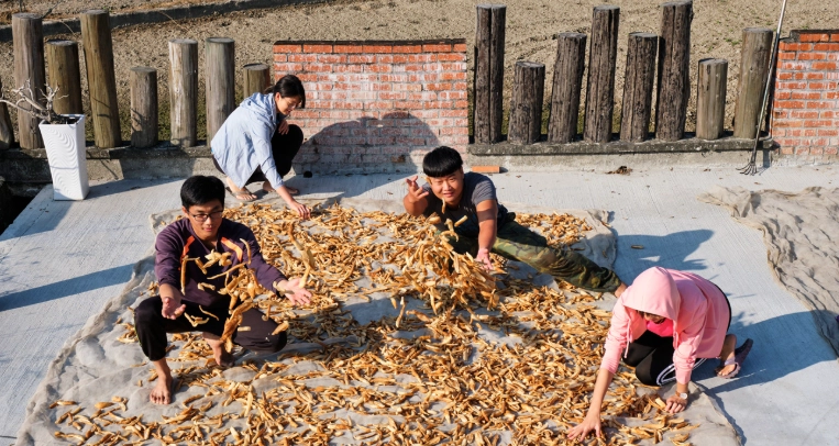 台灣傳統曬蘿蔔乾