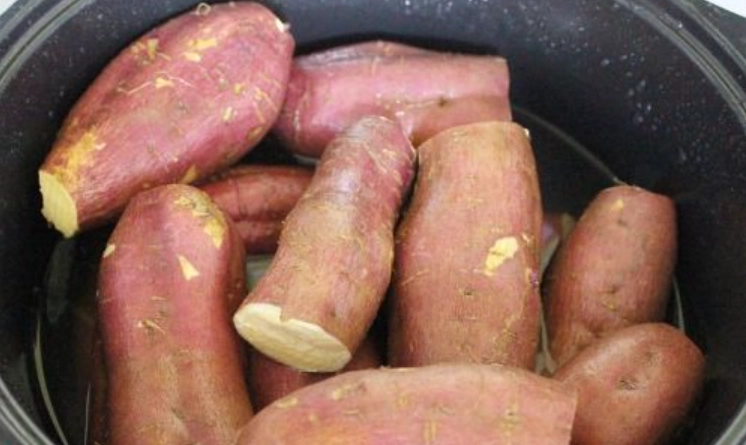 電子鍋蒸地瓜時間