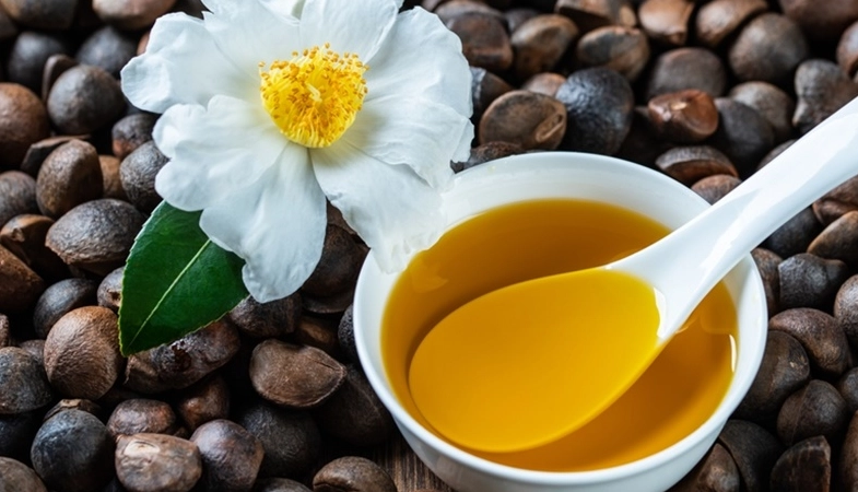 苦茶油 胃食道逆流