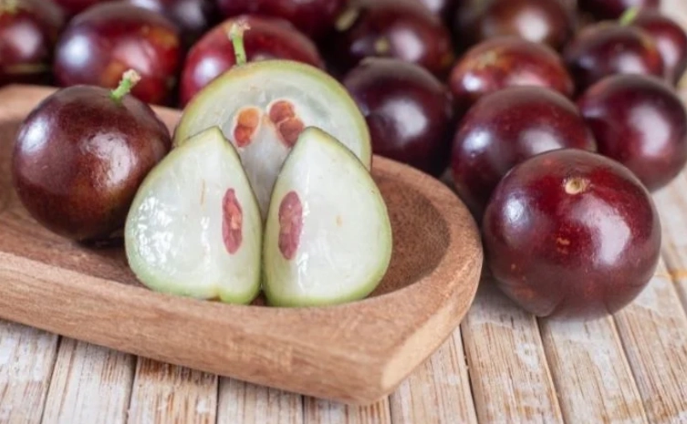 樹葡萄口感比較