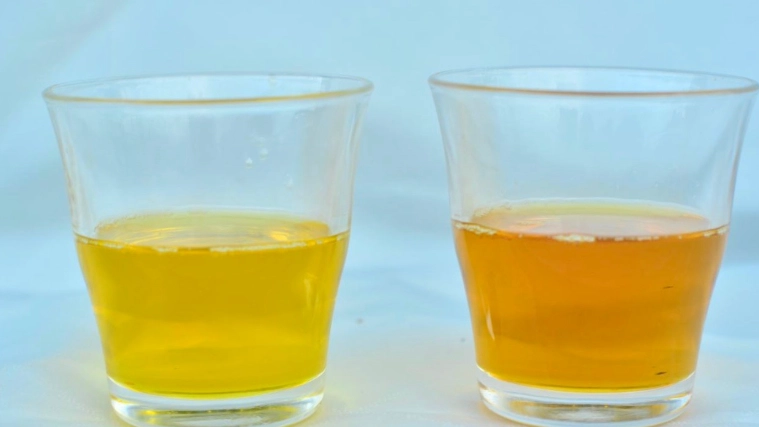 冷壓苦茶油 使用方法