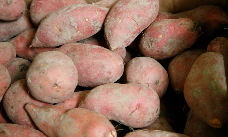 電鍋蒸地瓜技巧