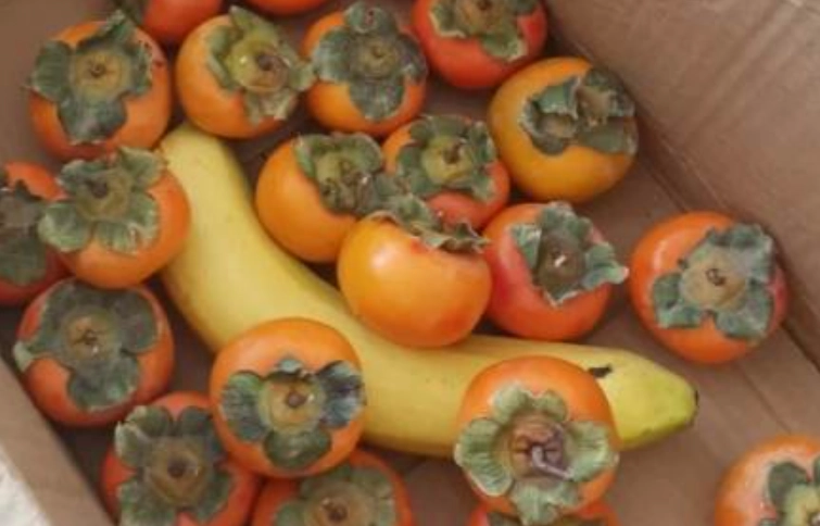 食物相剋柿子香蕉