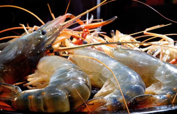 流水蝦吃到飽推薦